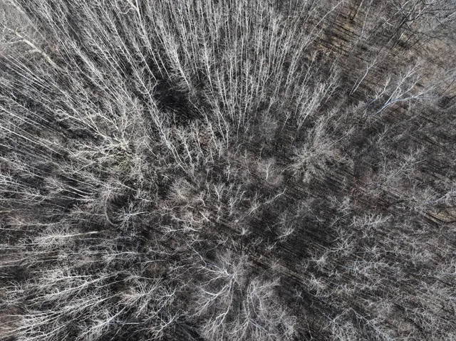 $75,000 | Tbd Bass Lake Road, Osage, MN 56570