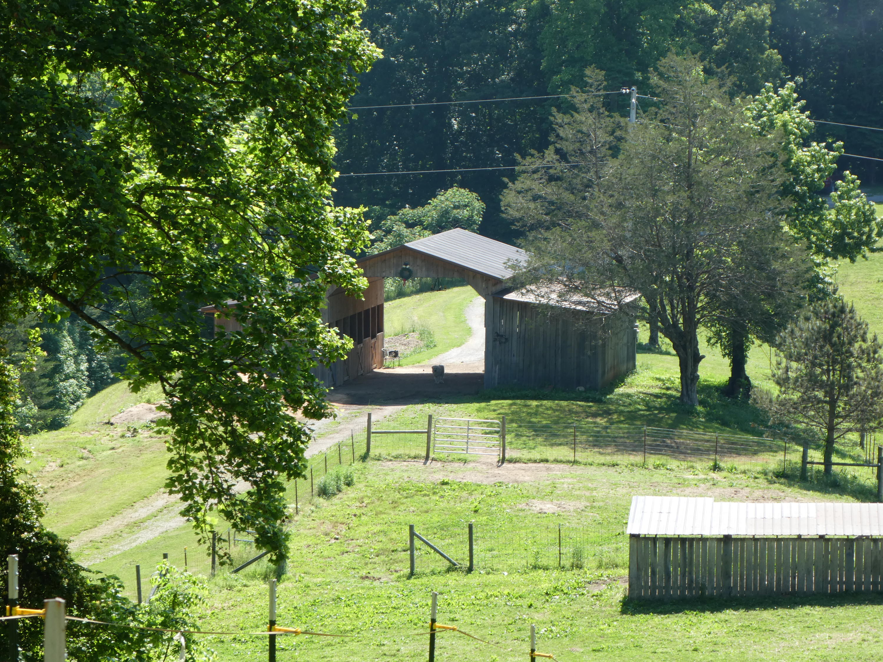 476 Duncan Hollow Road Jamestown, TN 38556 - Photo 3 of 35 P1010028