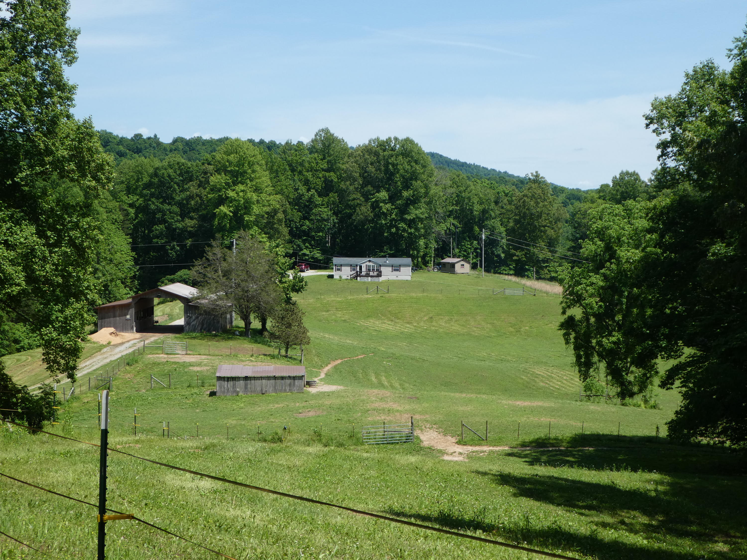 476 Duncan Hollow Road Jamestown, TN 38556 - Photo 8 of 35 P1010107