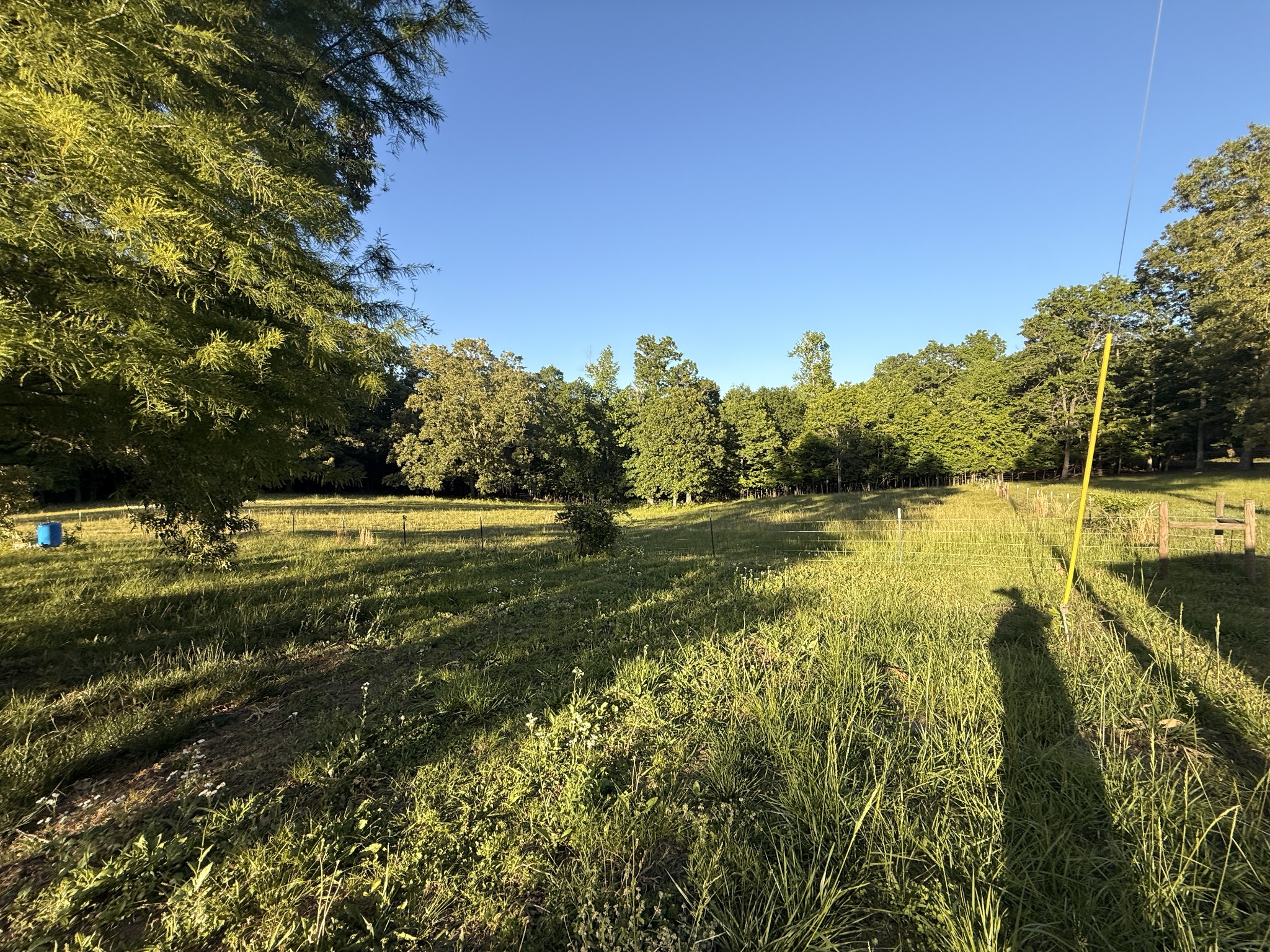 4585 Copper Spring Road Springville, TN 38256 - Photo 11 of 21