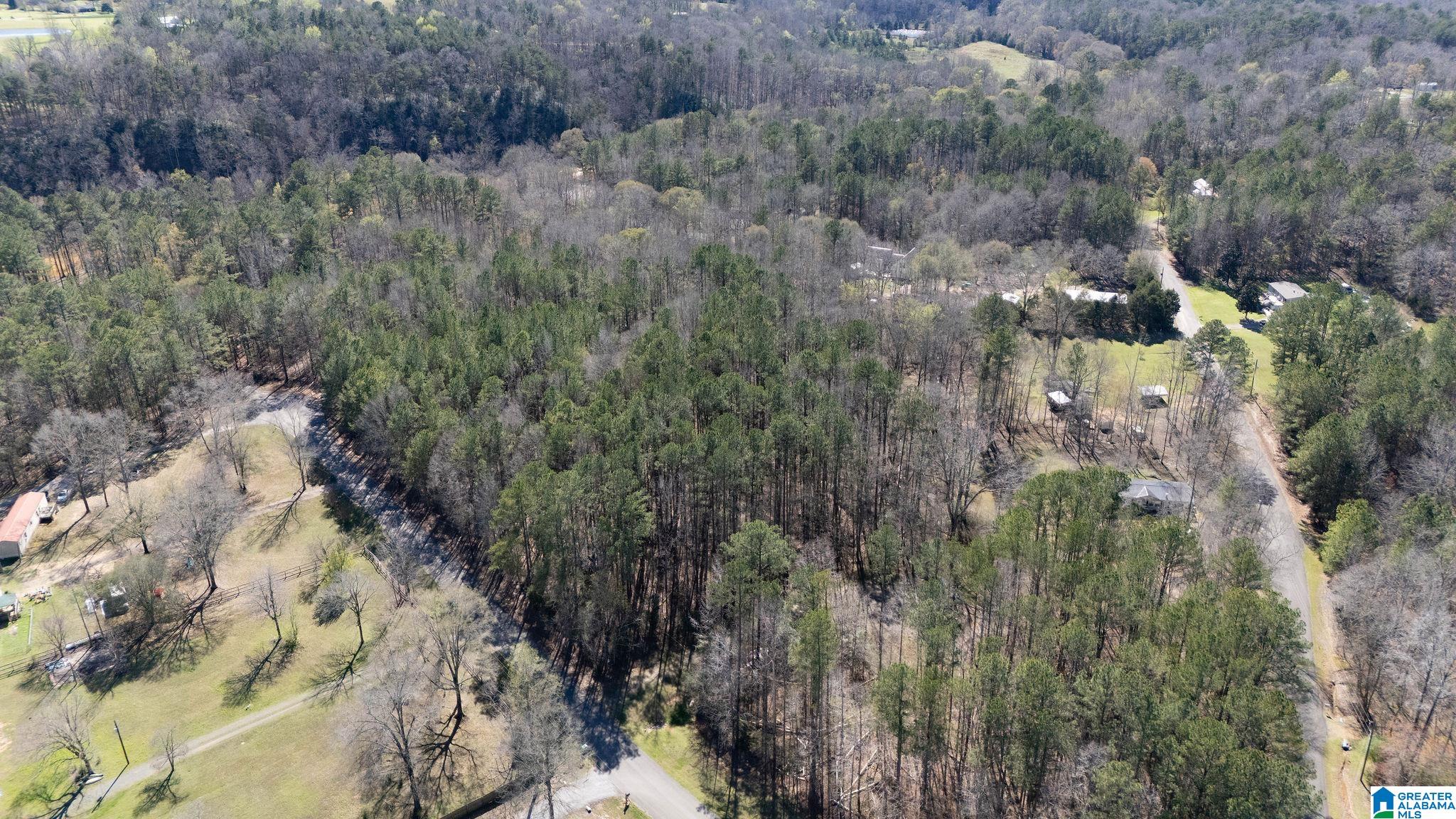 29 North Northview Circle, Unit 29 Northport, AL 35475 - Photo 4 of 16