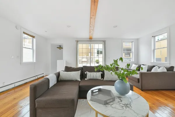 a living room with furniture potted plant and windows