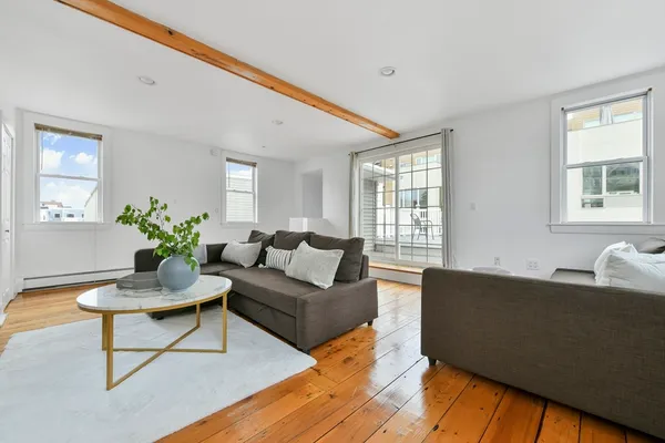 a living room with furniture and a potted plant