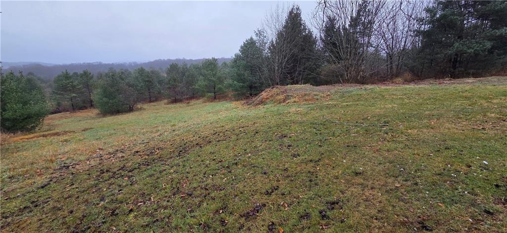 175 Blackfield Road Garrett, PA 15542 - Photo 35 of 37 a view of a field with trees in the background