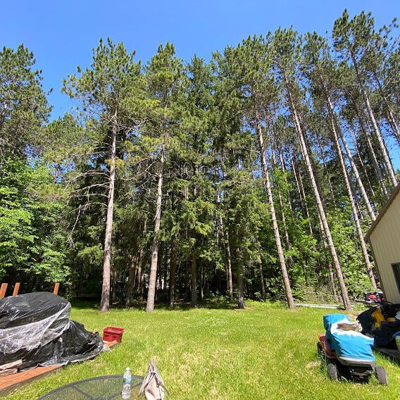 8050 Simmons Road Alpena, MI 49707 - Photo 8 of 22 Gallery Image 8