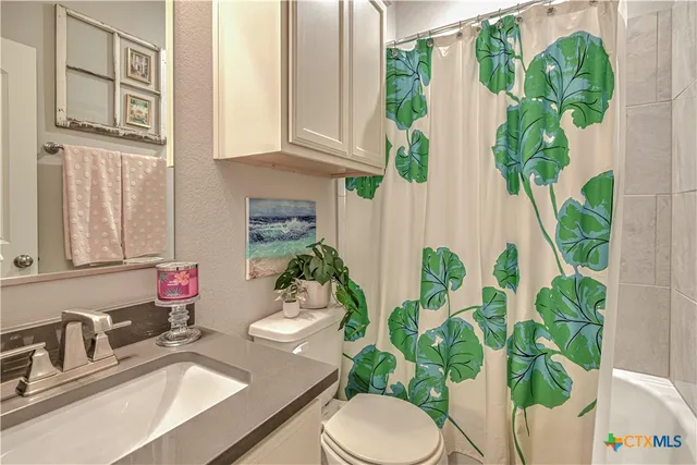 a bathroom with a sink mirror and toilet