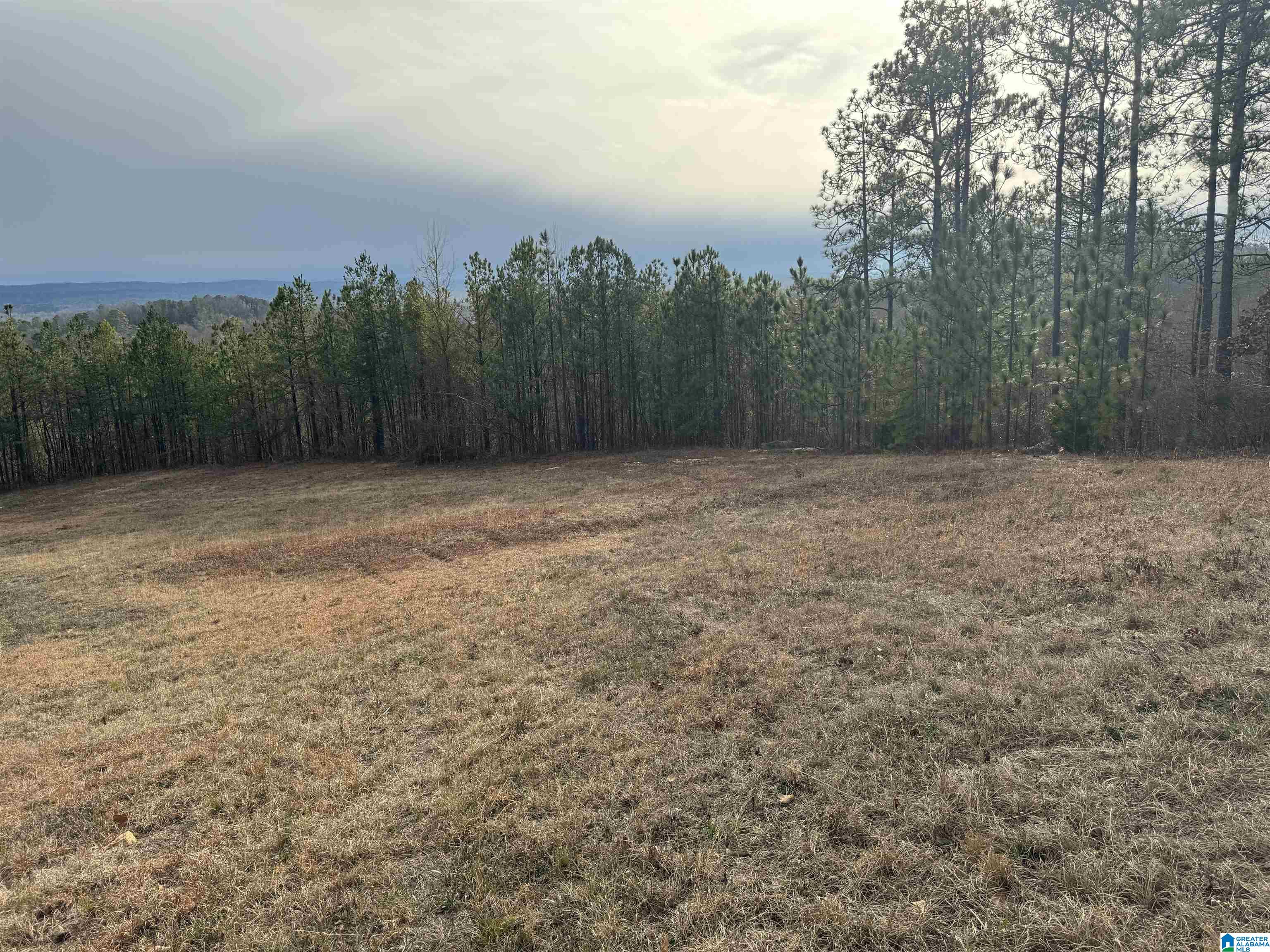 223 Mountain Ridge Road, Unit 65A AND 66A Oxford, AL 36203 - Photo 17 of 37 Gallery Image 17