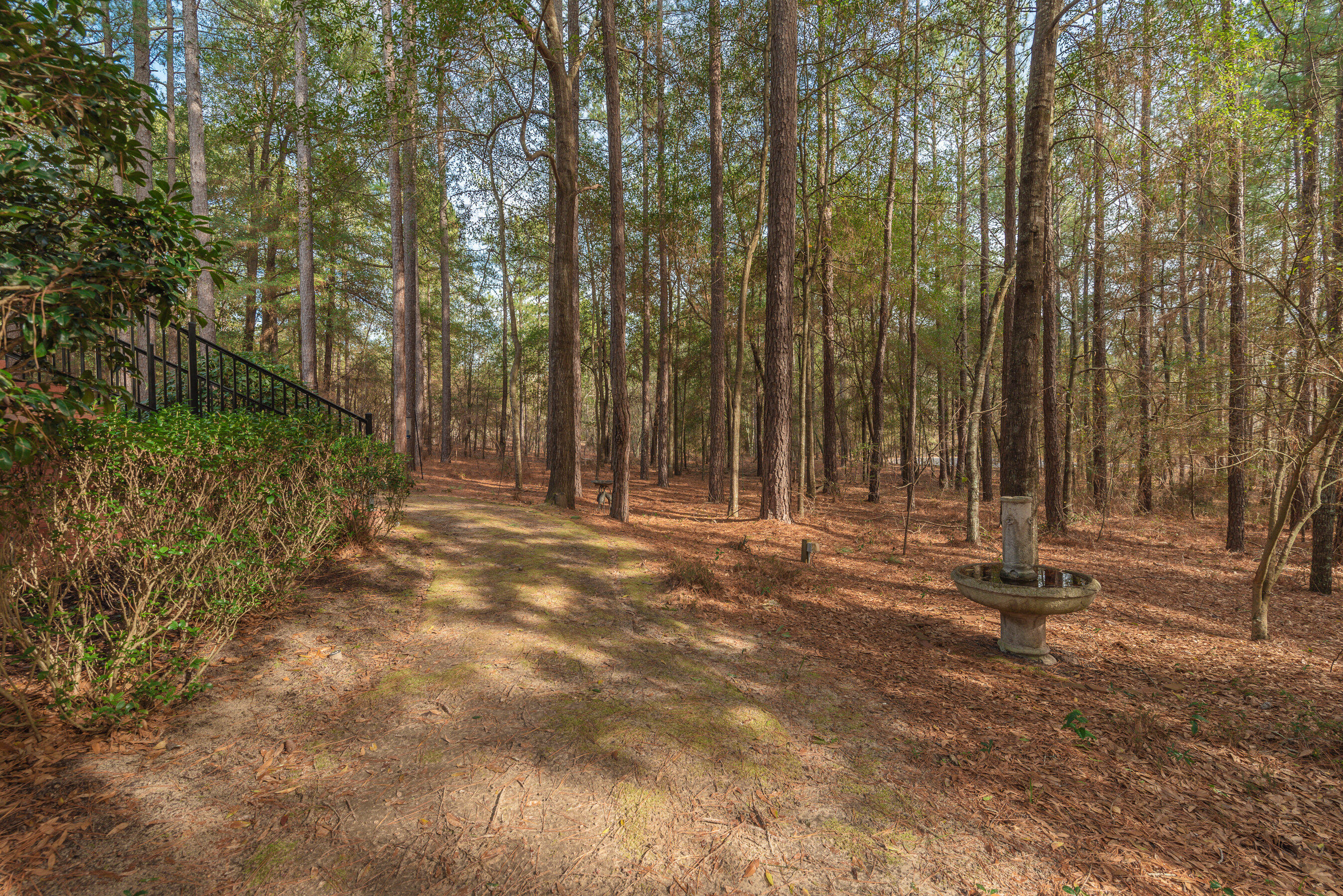 312 Merrifield Court Aiken, SC 29803 - Photo 55 of 60