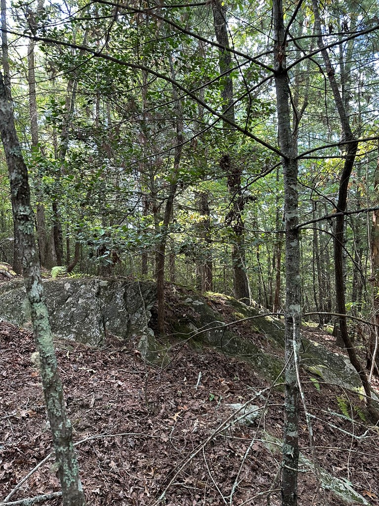 2 Kyle-arp Blue Ridge Blue Ridge, GA 30513 - Photo 33 of 39 Gallery Image 33