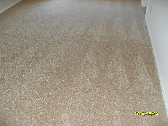 7909 West Wethersfield Road Peoria, AZ 85381 - Photo 2 of 3 NEW CARPET & PAINT