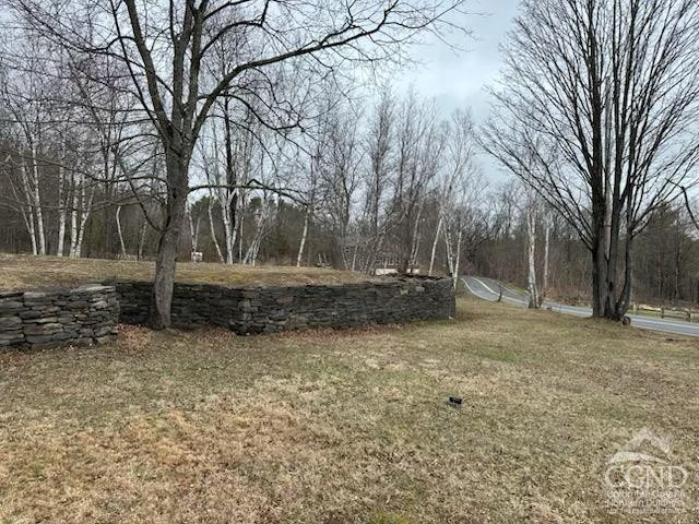 8 Bailey Purling, NY 12470 - Photo 3 of 13 a view of a tree in the middle of a yard