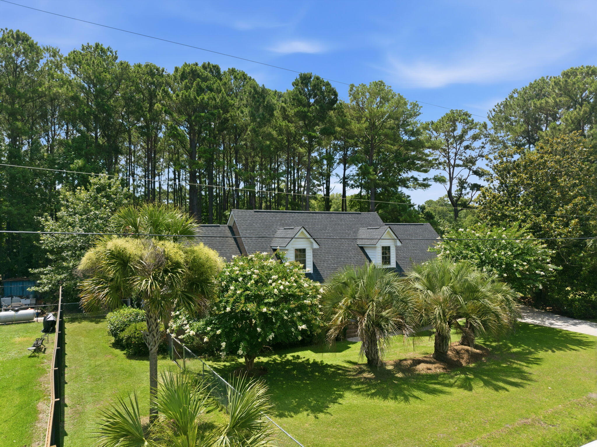 2981 Bennett Charles Road Mount Pleasant, SC 29466 - Photo 2 of 58 2-web-or-mls-DJI_0685