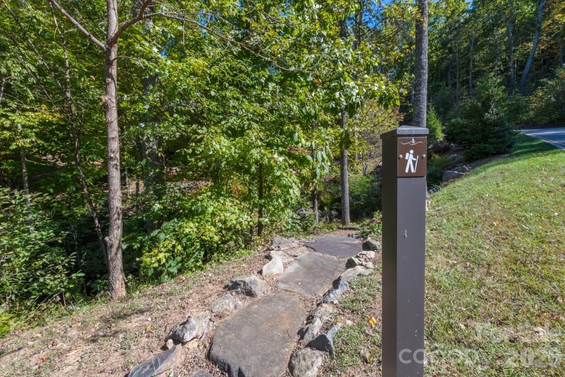 29 Crockett Ridge Road Black Mountain, NC 28711 - Photo 48 of 48