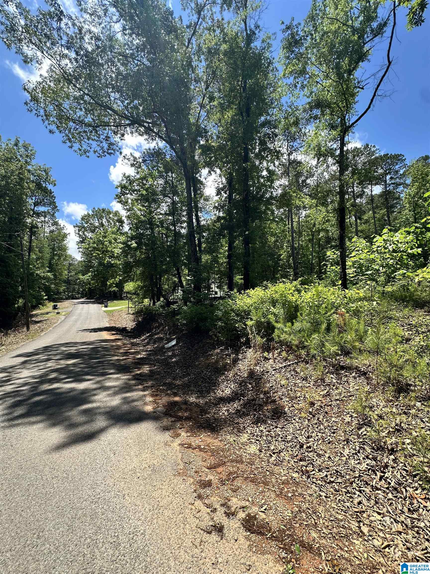 350 Black Acres Road, Unit 11 Cropwell, AL 35054 - Photo 15 of 16