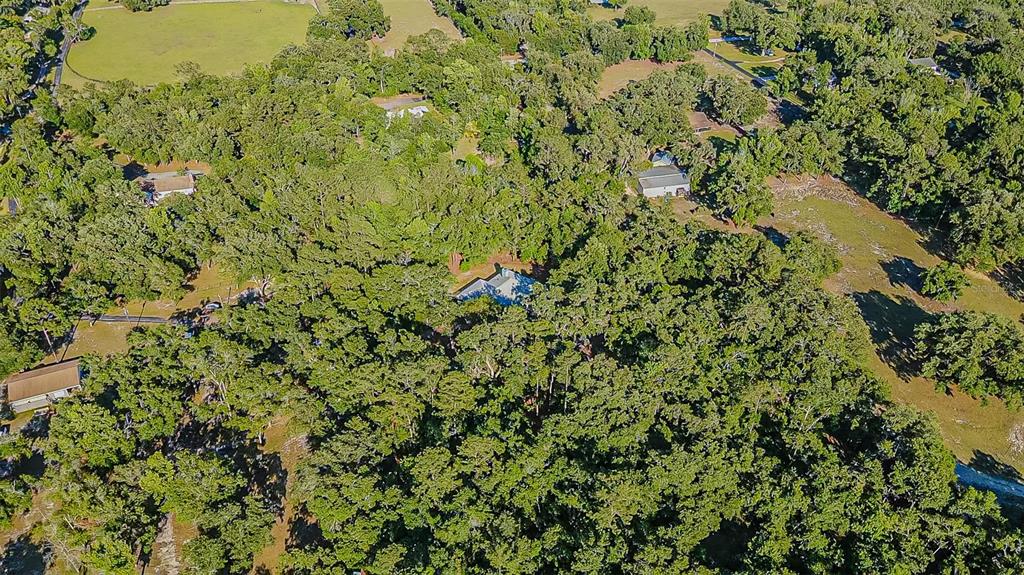 3351 Rackley Road Brooksville, FL 34604 - Photo 3 of 58