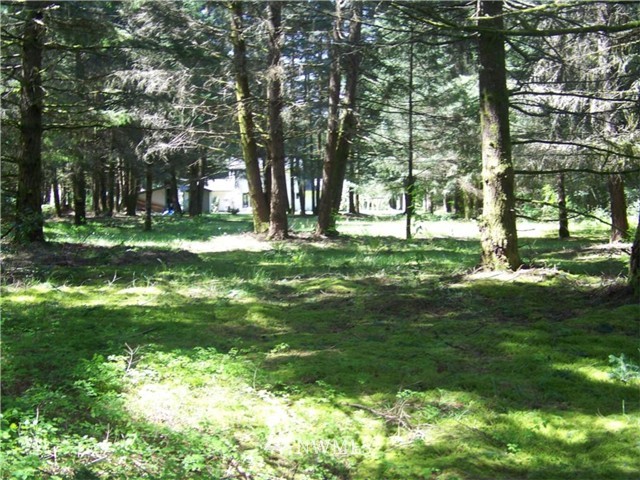 12626 Reo Road Southeast Rainier, WA 98576 - Photo 18 of 24 Gallery Image 18