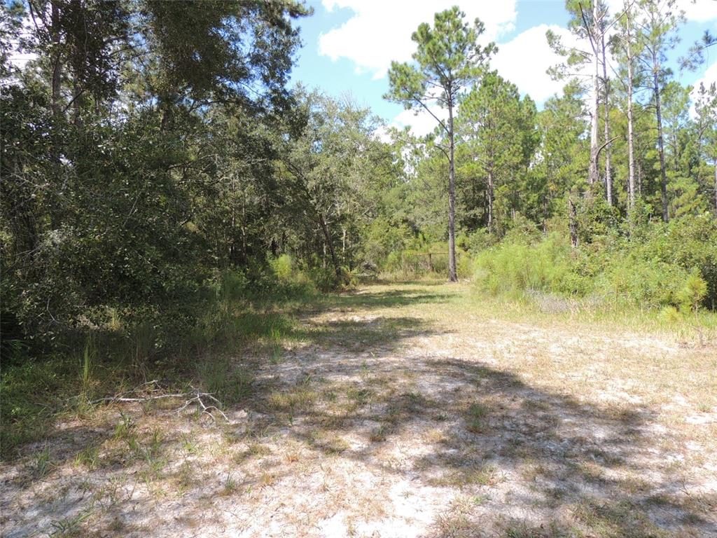 7050 Southeast Co Road 337 Morriston, FL 32668 - Photo 24 of 67