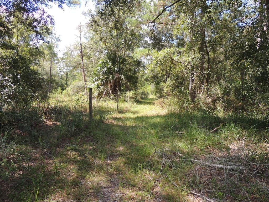 7050 Southeast Co Road 337 Morriston, FL 32668 - Photo 26 of 67