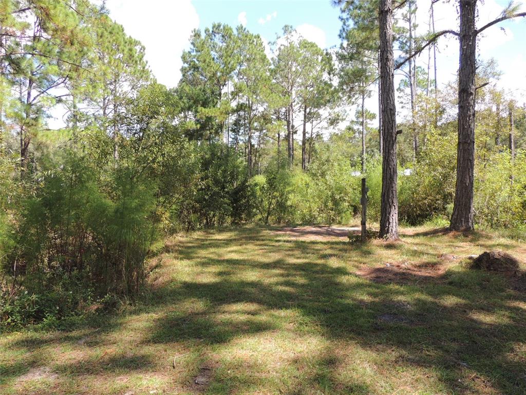 7050 Southeast Co Road 337 Morriston, FL 32668 - Photo 27 of 67 a view of a yard with a tree