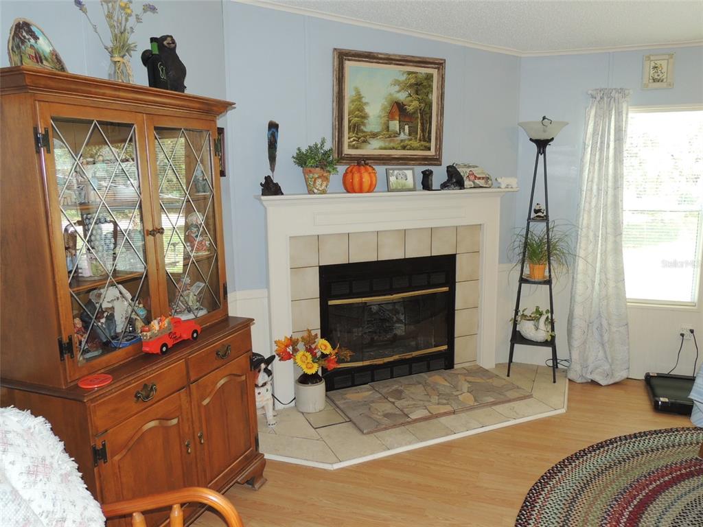 7050 Southeast Co Road 337 Morriston, FL 32668 - Photo 39 of 67 a living room with furniture a window and a fireplace