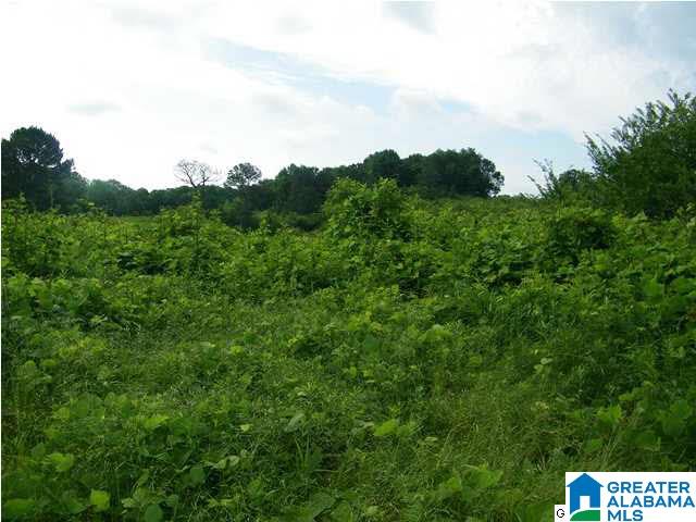 470 County Road, Unit 19 Woodland, AL 36280 - Photo 3 of 3
