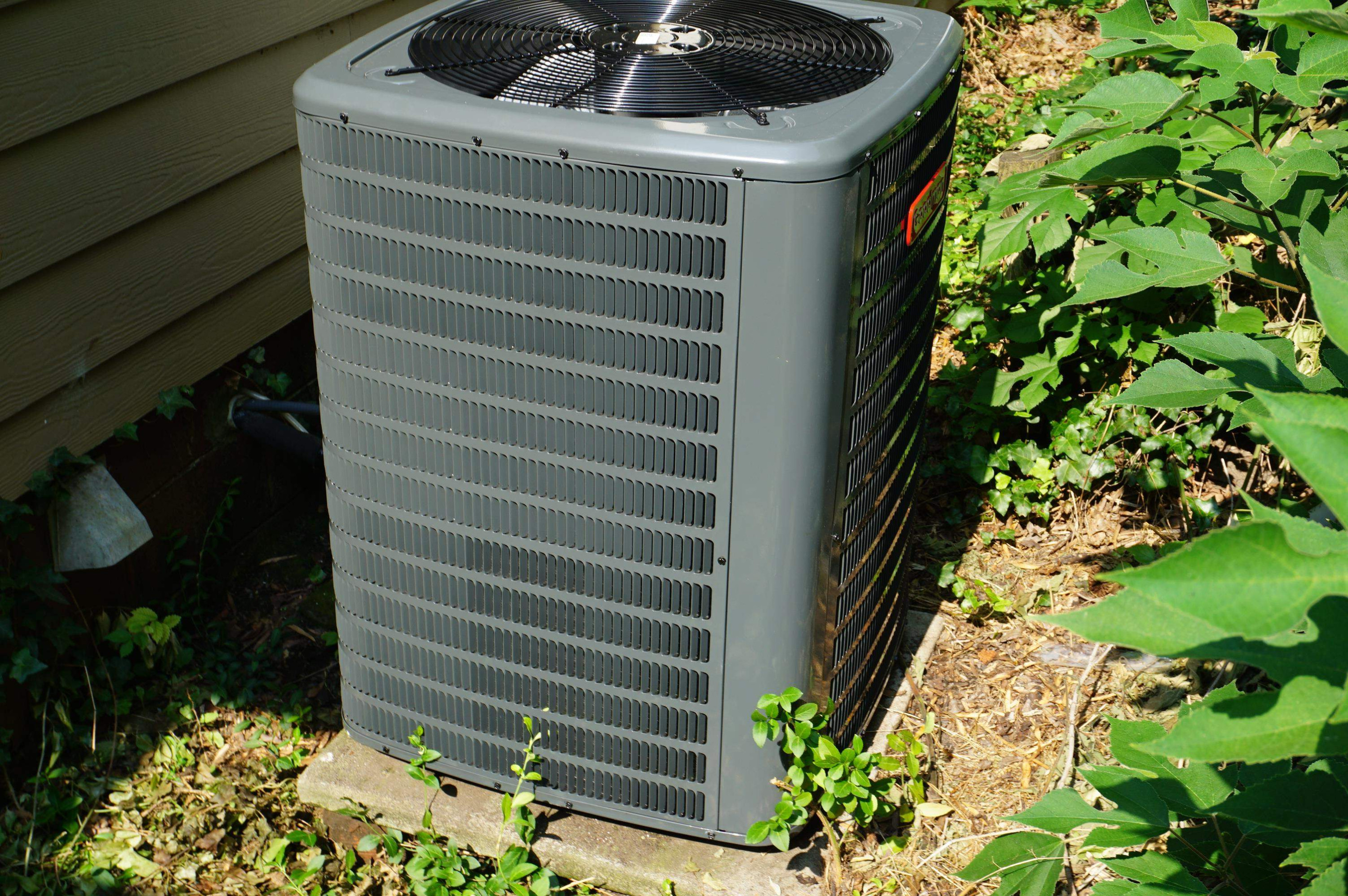 523 East Edenton Street Raleigh, NC 27601 - Photo 51 of 53 Photo 52