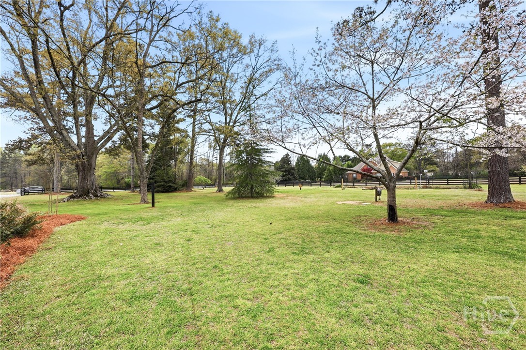 1481 Hodges Mill Road Watkinsville, GA 30677 - Photo 12 of 57 Fig, raspberries & lots of flowering trees & plants