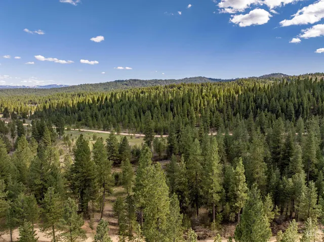 $295,000 | Lot 10 Star Creek, Idaho City, ID 83631