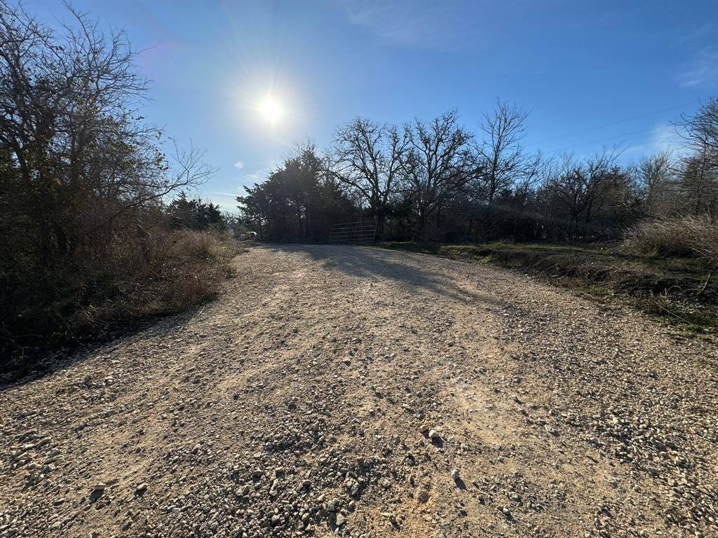 8405 Taylorsville Road Dale, TX 78616 - Photo 12 of 13 Gravel road traversing natural terrain, featuring varied vegetation, mature trees, and a distant metal gate