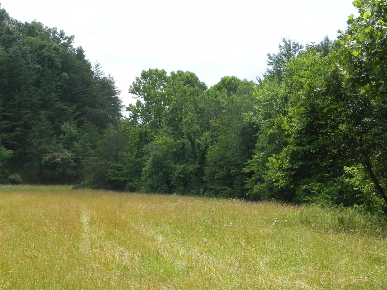 9999 Sasser School Road London, KY 40744 - Photo 20 of 53 Listing Photo