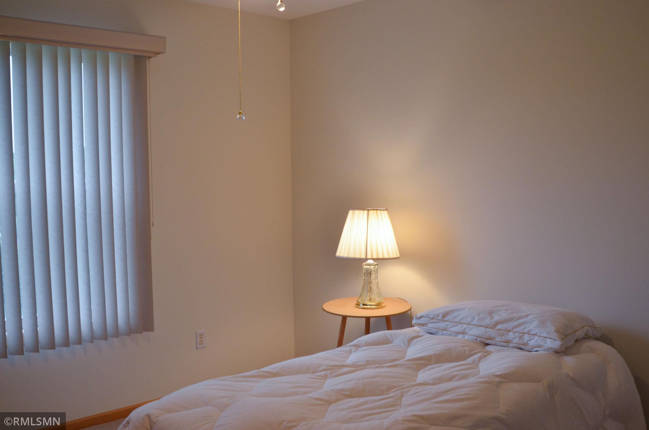 2181 Lake Lucy Road Chanhassen, MN 55317 - Photo 15 of 29