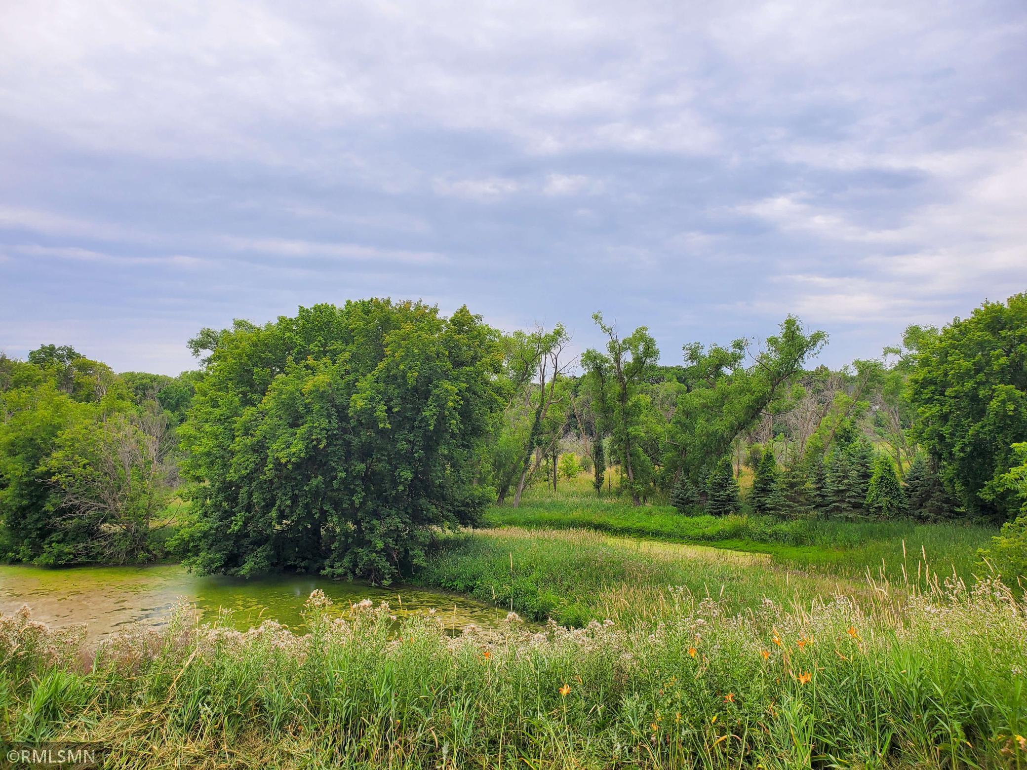 2181 Lake Lucy Road Chanhassen, MN 55317 - Photo 10 of 29