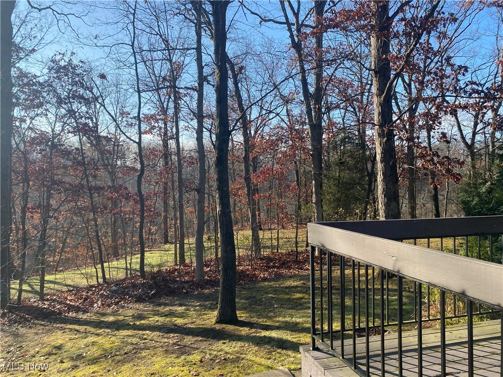 1024 Canyon View Road Northfield, OH 44067 - Photo 13 of 38 View of CVNP from rear deck