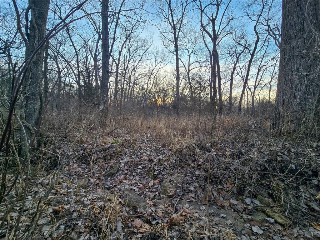 198th Road Holton, KS 66436 - Photo 14 of 81