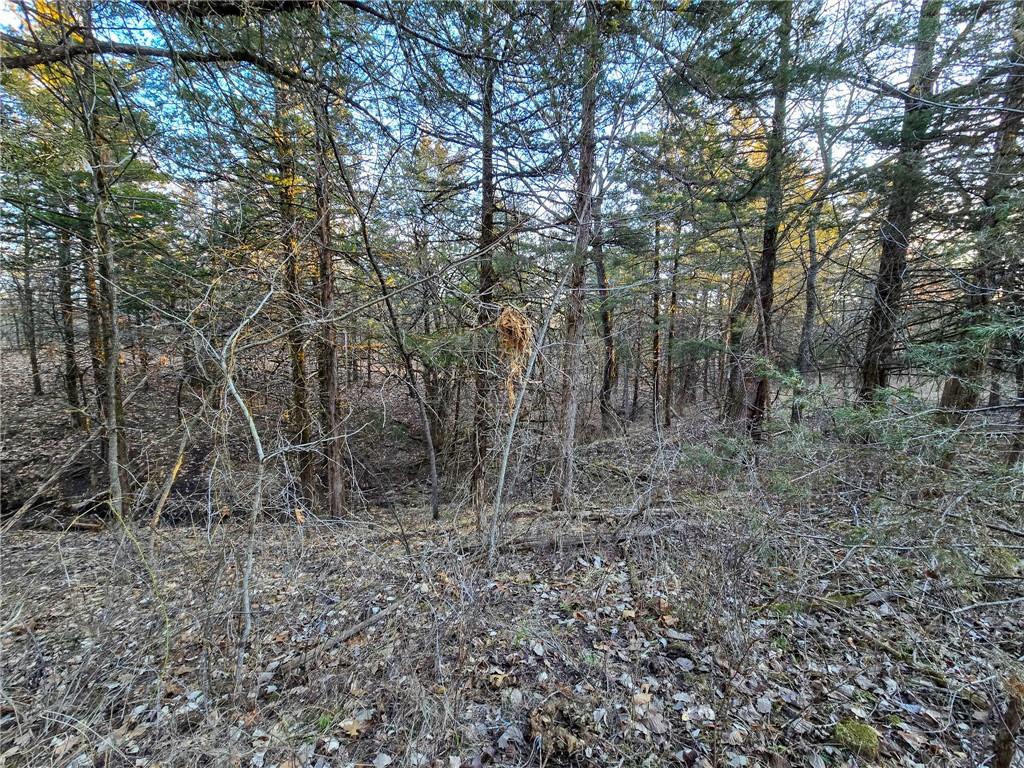 198th Road Holton, KS 66436 - Photo 27 of 81