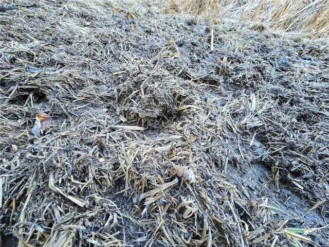 $500,940 | 198th Road, Holton, KS 66436