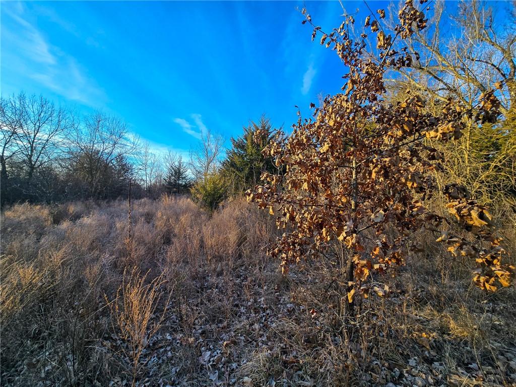 198th Road Holton, KS 66436 - Photo 36 of 81
