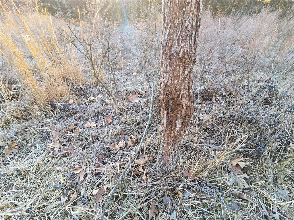 198th Road Holton, KS 66436 - Photo 40 of 81