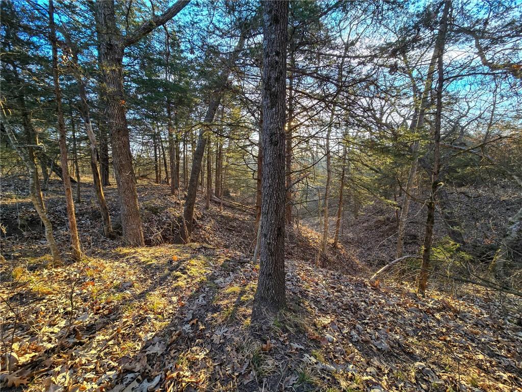 198th Road Holton, KS 66436 - Photo 41 of 81