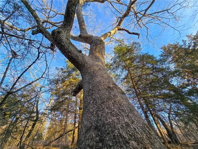 $500,940 | 198th Road, Holton, KS 66436