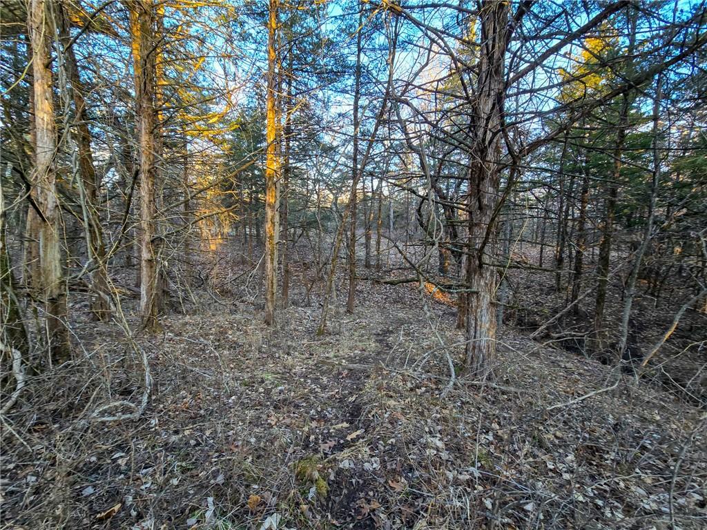 198th Road Holton, KS 66436 - Photo 55 of 81