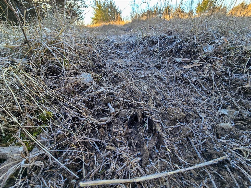 198th Road Holton, KS 66436 - Photo 58 of 81