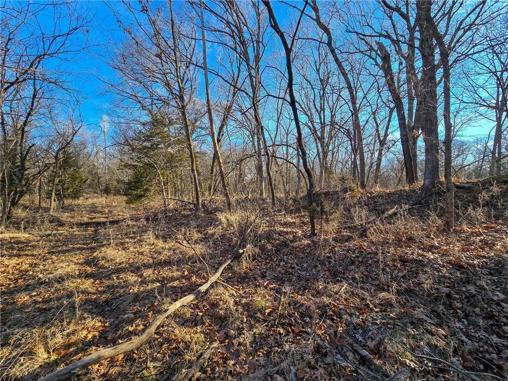 198th Road Holton, KS 66436 - Photo 61 of 81