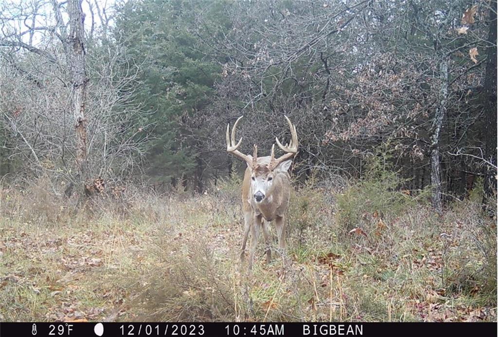 198th Road Holton, KS 66436 - Photo 80 of 81