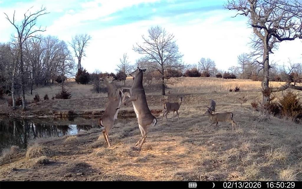 198th Road Holton, KS 66436 - Photo 81 of 81