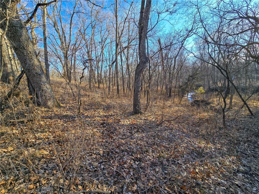 198th Road Holton, KS 66436 - Photo 9 of 81