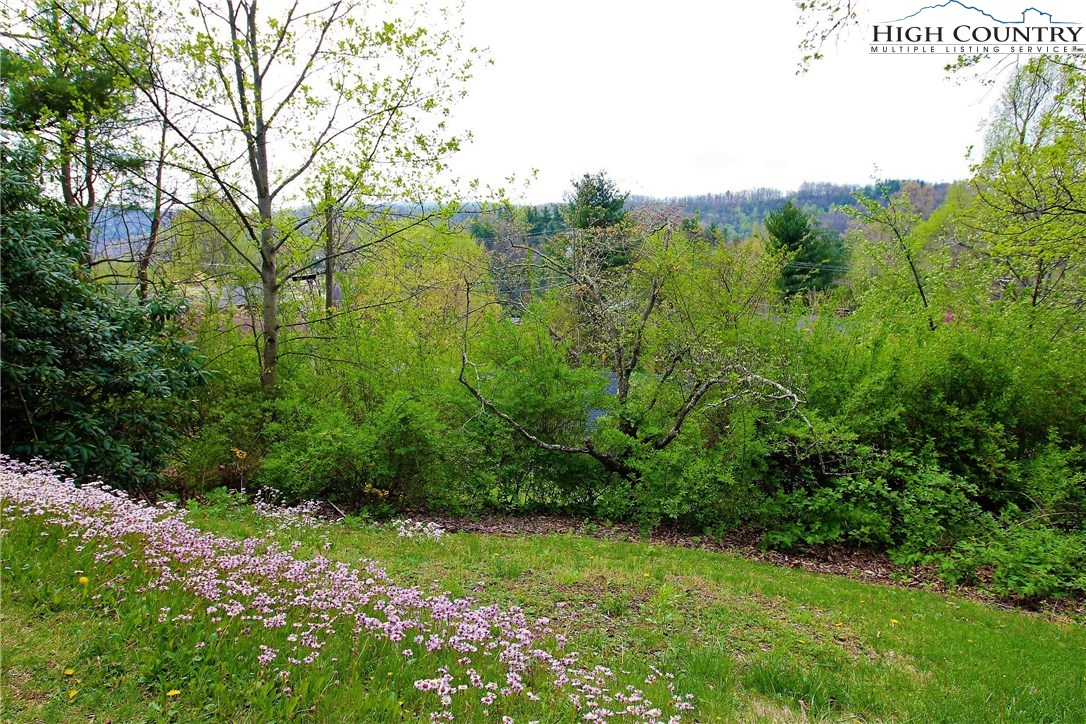 746 Stadium Drive Boone, NC 28607 - Photo 6 of 30 Gallery Image 6