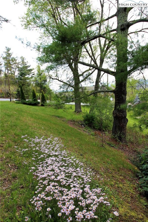 746 Stadium Drive Boone, NC 28607 - Photo 8 of 30 Gallery Image 8