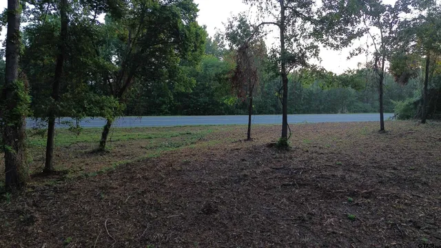 a view of outdoor space with green space