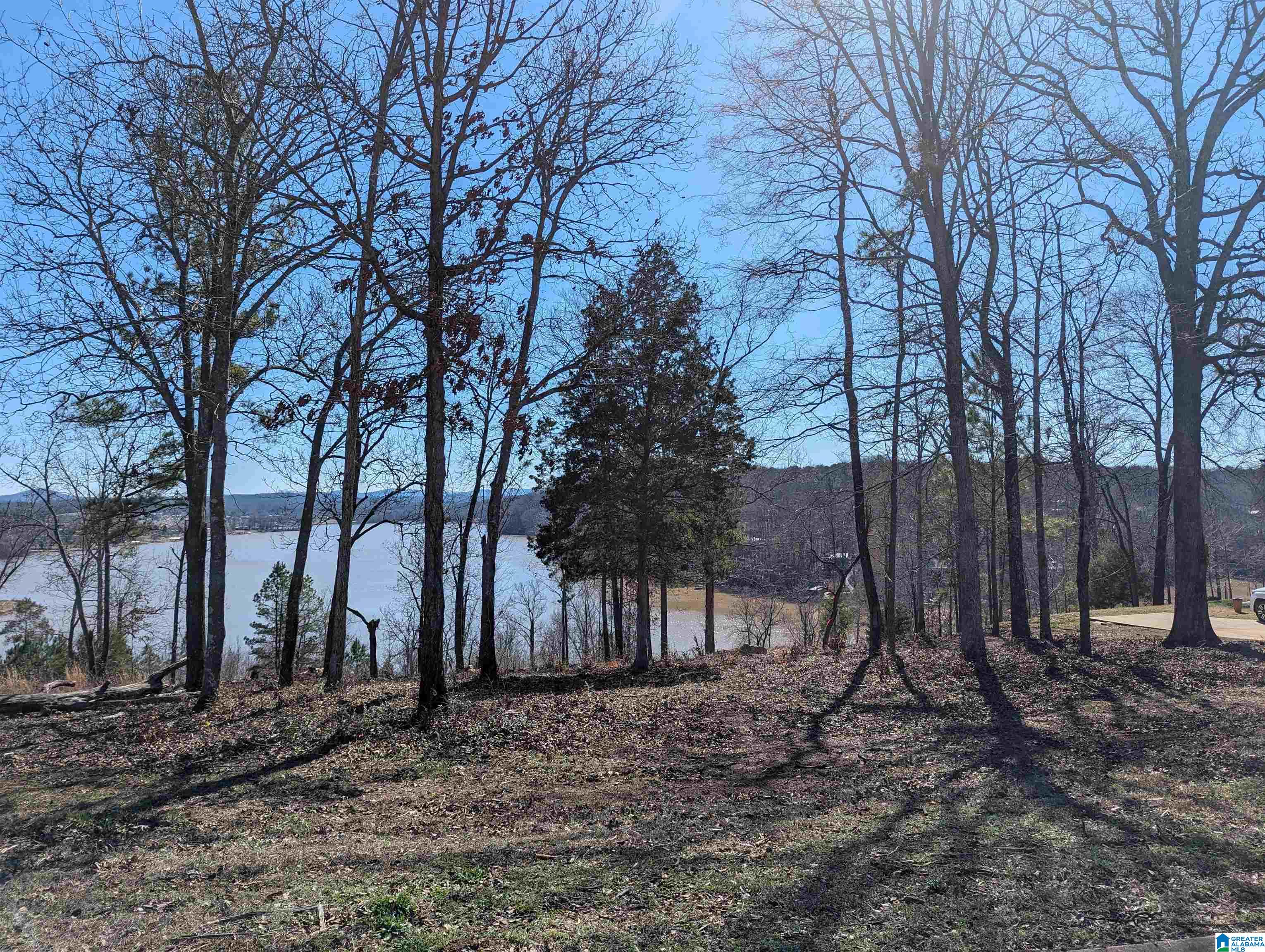 0 Overlook Ridge Lincoln, AL 35096 - Photo 3 of 33